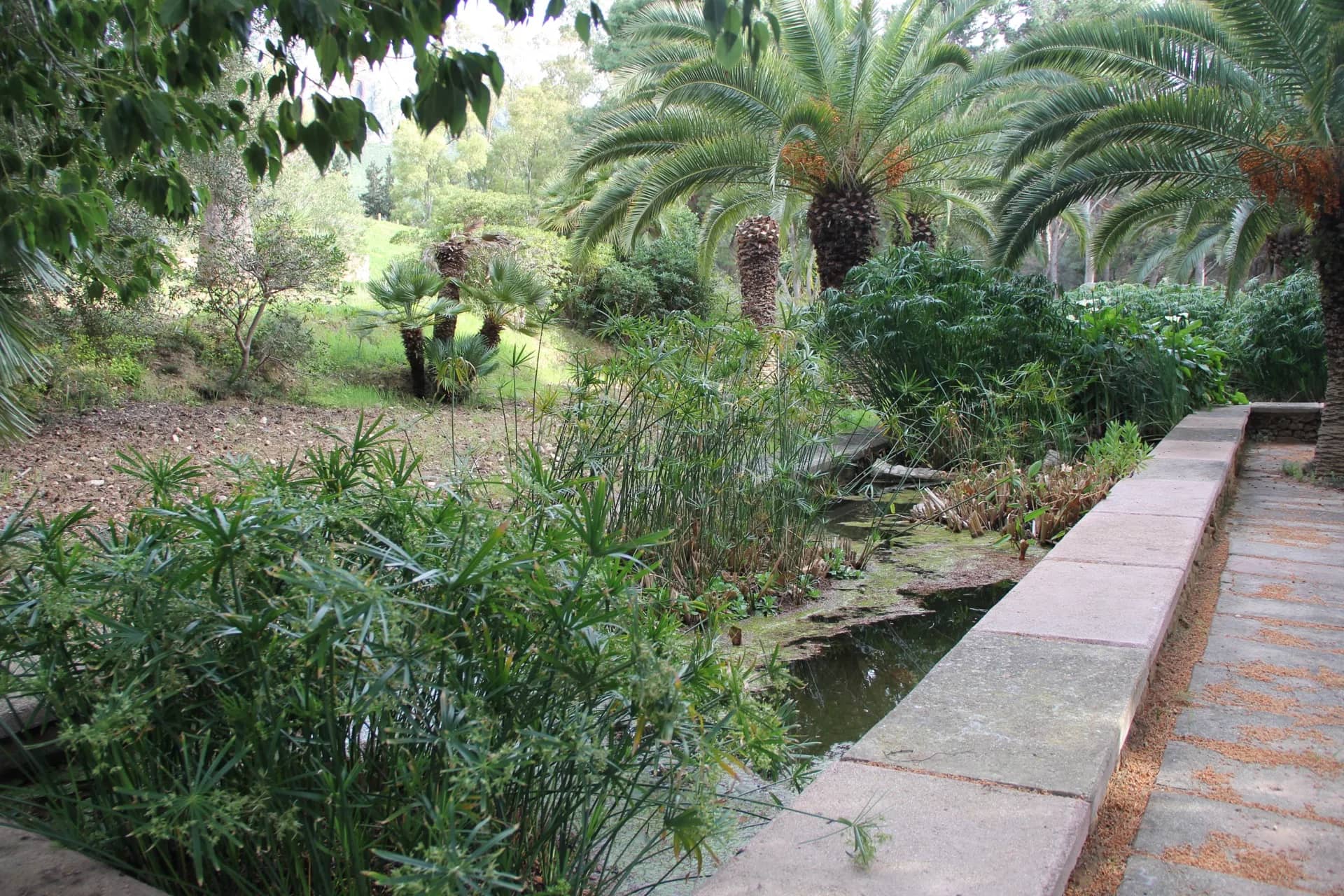 Tra il parco e il mare